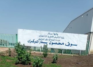 تدشين سوق المحاصيل بسنار لموسم الحالى بعد توقف دام لموسمين تدشين سوق المحاصيل بسنار لموسم الحالى بعد توقف دام لموسمين