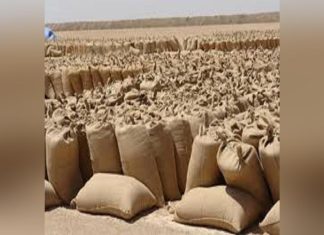 ترتيبات لبدء الموسم التسويقي الجديد لسوق محصولات الأبيض ترتيبات لبدء الموسم التسويقي الجديد لسوق محصولات الأبيض