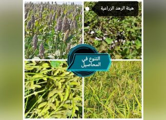 وزير الزراعة الإتحادي يشيد بتنوع المحاصيل في مشروع الرهد وزير الزراعة الإتحادي يشيد بتنوع المحاصيل في مشروع الرهد