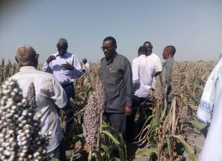 وزير الإنتاج بالنيل الأبيض يؤكد استمرار مكافحة الطيور بالمشاريع الزراعية وزير الإنتاج بالنيل الأبيض يؤكد استمرار مكافحة الطيور بالمشاريع الزراعية