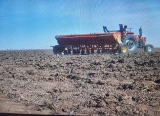 وزير الانتاج بالشمالية يدشن زراعة محصول القمح بمشروع الزورات الزراعي وزير الانتاج بالشمالية يدشن زراعة محصول القمح بمشروع الزورات الزراعي