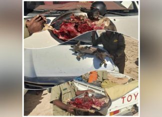 ضبط عصابة بالبحر الأحمر تخصصت في الصيد الجائر ضبط عصابة بالبحر الأحمر تخصصت في الصيد الجائر