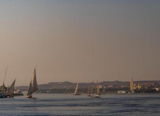 العدوان على غزة يدكّ الاقتصاد المصري… أبرز المؤشرات السلبية العدوان على غزة يدكّ الاقتصاد المصري... أبرز المؤشرات السلبية