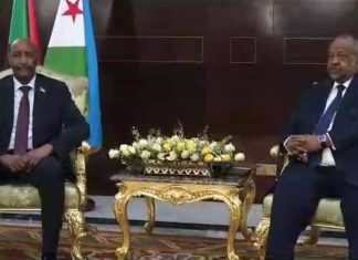البرهان والرئيس الجيبوتي يبحثان تطورات الأوضاع فى السودان البرهان والرئيس الجيبوتي يبحثان تطورات الأوضاع فى السودان
