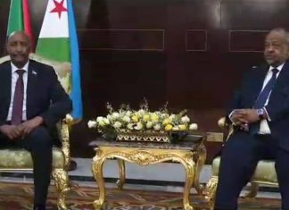 البرهان يبلغ رئيس الايقاد استعداد الحكومة على وقف الحرب وعودة الحياة البرهان يبلغ رئيس الايقاد استعداد الحكومة على وقف الحرب وعودة الحياة