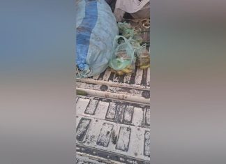 السودان.. ضبط مخدرات داخل موز السودان.. ضبط مخدرات داخل موز