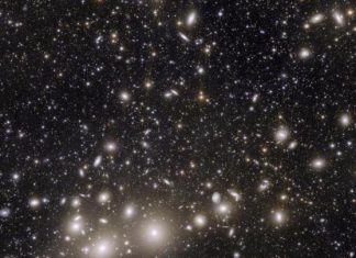 التلسكوب الأوروبي إقليدس ينشر أولى صوره للكون التلسكوب الأوروبي إقليدس ينشر أولى صوره للكون