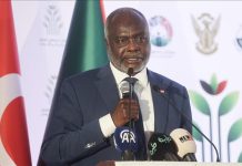 وزير المالية السوداني: أنتجنا من الذرة والسمسم ما يكفي حاجتنا ويفيض وزير المالية السوداني: أنتجنا من الذرة والسمسم ما يكفي حاجتنا ويفيض