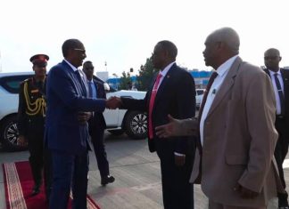 البرهان يغادر إلى دولة أفريقية البرهان يغادر إلى دولة أفريقية