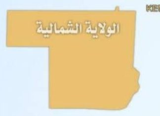 والي الشمالية المكلف يشهد تخريج دارسي دورة المدفعية بدنقلا والي الشمالية المكلف يشهد تخريج دارسي دورة المدفعية بدنقلا