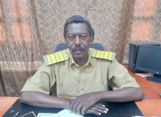 شمال كردفان :تدفق المحاصيل الزراعية بسوق الأبيض شمال كردفان :تدفق المحاصيل الزراعية بسوق الأبيض