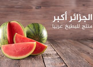 تعرف على أكثر الدول إنتاجا وتصديرا للبطيخ.. بينها 3 بلدان عربية تعرف على أكثر الدول إنتاجا وتصديرا للبطيخ.. بينها 3 بلدان عربية