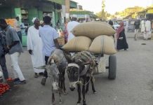 أسعار السلع تقفز 300% في السودان…وهلع من نفاد المخزون أسعار السلع تقفز 300% في السودان...وهلع من نفاد المخزون