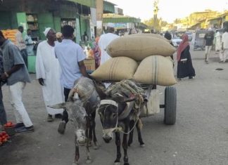 أسعار السلع تقفز 300% في السودان…وهلع من نفاد المخزون أسعار السلع تقفز 300% في السودان...وهلع من نفاد المخزون