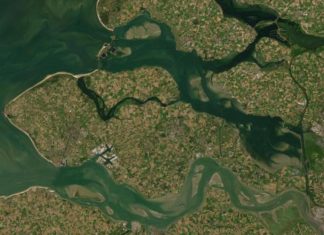 المياه العكرة تحمي السواحل في مناطق المد والجزر المياه العكرة تحمي السواحل في مناطق المد والجزر