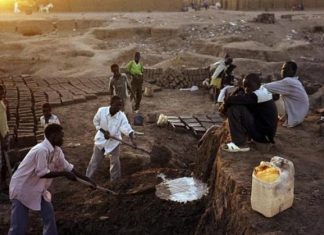 حملة لوقف خطر المجاعة في السودان: قصص مروعة وسط ضعف التمويل حملة لوقف خطر المجاعة في السودان: قصص مروعة وسط ضعف التمويل