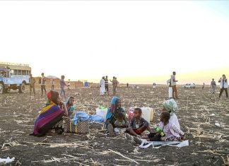 مطالب أممية لإنقاذ جيل كامل بالسودان من المرض والموت مطالب أممية لإنقاذ جيل كامل بالسودان من المرض والموت