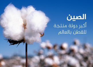 أكبر 10 دول منتجة ومصدرة للقطن في العالم.. بينها إسلامية أكبر 10 دول منتجة ومصدرة للقطن في العالم.. بينها إسلامية