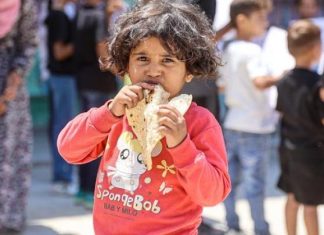 وكالات أممية تحذر من انعدام الأمن الغذائي في غزة والسودان وكالات أممية تحذر من انعدام الأمن الغذائي في غزة والسودان