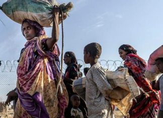 قوات الدعم السريع ترتكب مجزرة في ود النورة وسط السودان قوات الدعم السريع ترتكب مجزرة في ود النورة وسط السودان