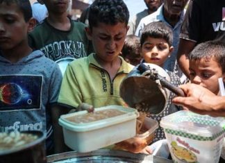 تحذيرات أممية من خطر المجاعة والموت في فلسطين والسودان تحذيرات أممية من خطر المجاعة والموت في فلسطين والسودان