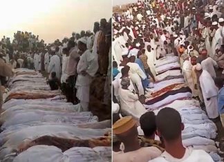 الدعم السريع واستمرار المجازر.. ماذا تريد؟ الدعم السريع واستمرار المجازر.. ماذا تريد؟