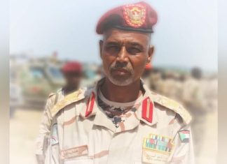 السودان.. مقتل قائد في الدعم السريع ومستشار حميدتي يكشف تفاصيل السودان.. مقتل قائد في الدعم السريع ومستشار حميدتي يكشف تفاصيل