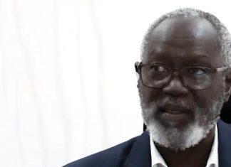 “هويّات معتمدة”..تحقيق حول مشاركة أجانب في حرب السودان “هويّات معتمدة”..تحقيق حول مشاركة أجانب في حرب السودان