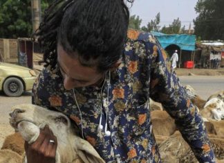 انكفاء فقراء السودان يبدّد فرحة عيد الأضحى انكفاء فقراء السودان يبدّد فرحة عيد الأضحى