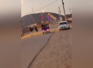 هيئة تطوير وتجميل الشمالية تفتح الباب على المحليات هيئة تطوير وتجميل الشمالية تفتح الباب على المحليات