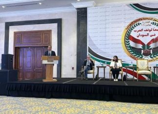 وزير خارجية مصر: حل أزمة السودان يجب أن يكون سودانياً خالصاً وزير خارجية مصر: حل أزمة السودان يجب أن يكون سودانياً خالصاً