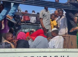 معارك السودان: ولاية سنار ساحة لانتهاكات “الدعم السريع” معارك السودان: ولاية سنار ساحة لانتهاكات "الدعم السريع"