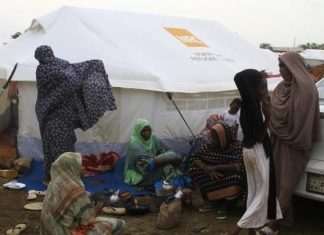 “الدعم السريع” تنكّل بسكان جزيرة توتي السودانية "الدعم السريع" تنكّل بسكان جزيرة توتي السودانية