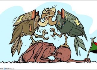 حصاد العلقم في السودان حصاد العلقم في السودان