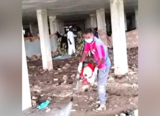 بلدية القضارف تبدأ فى عمليات مكافحة الذباب بلدية القضارف تبدأ فى عمليات مكافحة الذباب