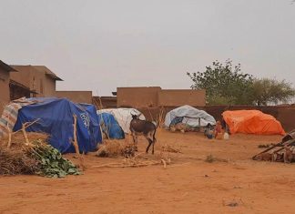 تحذير أممي واستنفار للمانحين.. المجاعة تطرق أبواب السودان من زمزم تحذير أممي واستنفار للمانحين.. المجاعة تطرق أبواب السودان من زمزم