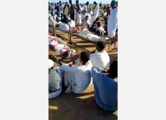 مجزرة العدناب شاهد جديد على جرائم الدعم السريع بالسودان مجزرة العدناب شاهد جديد على جرائم الدعم السريع بالسودان