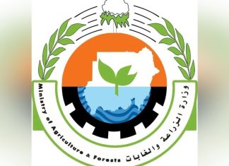 وزارة الزراعة: انتاج الحبوب الغذائيه للموسم الزراعي ٢٠٢٣_٢٠٢٤ كاف لحوجه البلاد وزارة الزراعة: انتاج الحبوب الغذائيه للموسم الزراعي ٢٠٢٣_٢٠٢٤ كاف لحوجه البلاد
