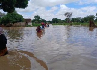 المنظمة الدولية للهجرة: سيول السودان تهجّر أكثر من 117 ألفاً المنظمة الدولية للهجرة: سيول السودان تهجّر أكثر من 117 ألفاً
