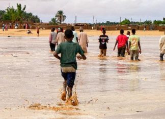 8 وفيات جديدة بالكوليرا وظهور مرض جديد في الشمال 8 وفيات جديدة بالكوليرا وظهور مرض جديد في الشمال