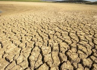 118 مليون إفريقي معرضون للجفاف والفيضانات بسبب تغير المناخ 118 مليون إفريقي معرضون للجفاف والفيضانات بسبب تغير المناخ