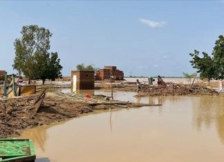 المساعدات الإنسانية التركية تصل إلى 13 ولاية المساعدات الإنسانية التركية تصل إلى 13 ولاية