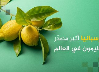 أكبر 10 دول منتجة ومصدرة لفاكهة الليمون بالعالم بينها دولة عربية أكبر 10 دول منتجة ومصدرة لفاكهة الليمون بالعالم بينها دولة عربية