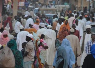 مأساة الفاشر… الجوع يهدد حياة آلاف السودانيين مأساة الفاشر... الجوع يهدد حياة آلاف السودانيين