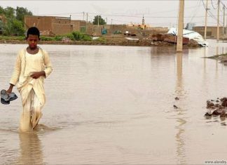 سموم في النيل… تراكيز عالية من الزئبق في مياه النهر سموم في النيل... تراكيز عالية من الزئبق في مياه النهر