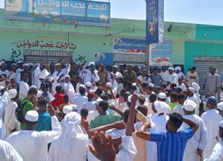 موكب لجماهير دنقلا مساند وداعم للقوات المسلحة موكب لجماهير دنقلا مساند وداعم للقوات المسلحة