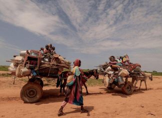 بين الإصابات والنزوح وفقدان الرعاية.. تحديات تواجه المرأة السودانية في ظل الحرب بين الإصابات والنزوح وفقدان الرعاية.. تحديات تواجه المرأة السودانية في ظل الحرب