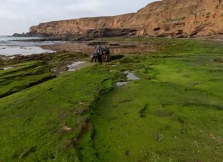 في المغرب.. اكتشاف أكبر وأقدم مجتمع زراعي عاش قبل 5 آلاف سنة في المغرب.. اكتشاف أكبر وأقدم مجتمع زراعي عاش قبل 5 آلاف سنة