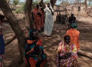 حرب الأشجار حرب الأشجار