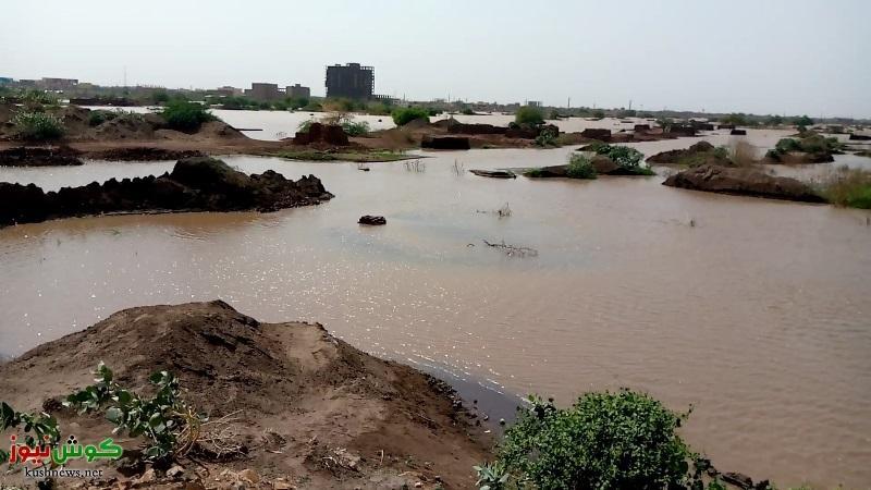 وزيرا الري السوداني والمصري: استمرار التنسيق بين البلدين في تشغيل السدود على نهر النيل وزيرا الري السوداني والمصري: استمرار التنسيق بين البلدين في تشغيل السدود على نهر النيل